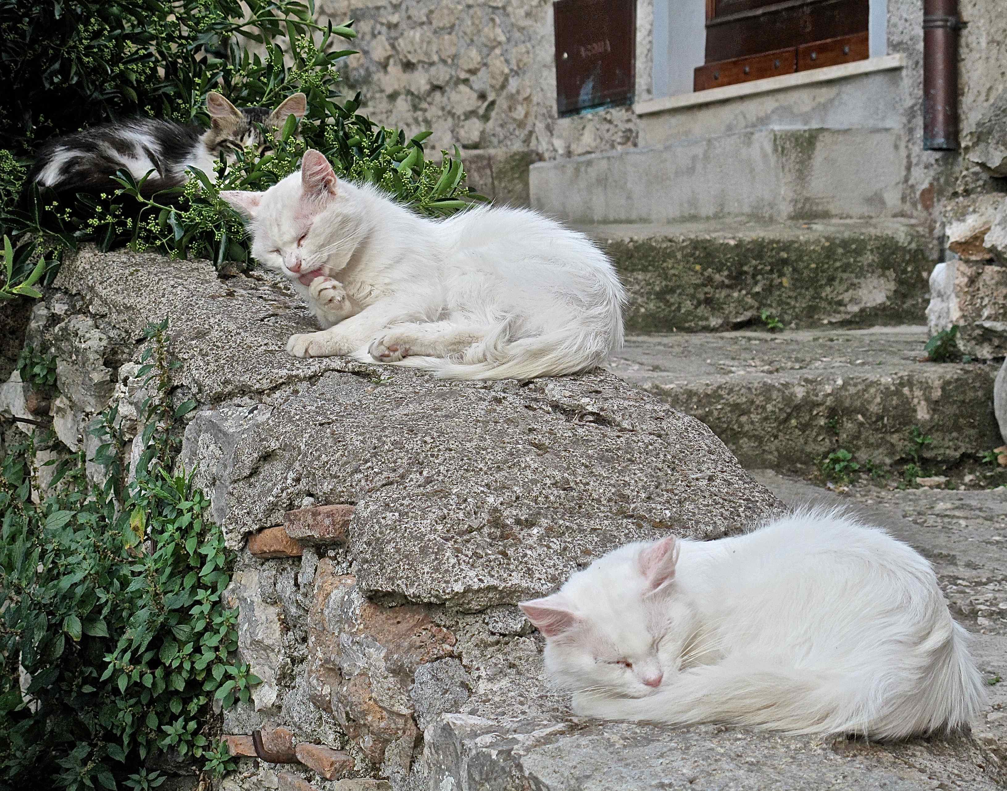 Tre in relax. di sangiopanza