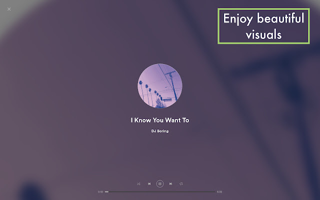 Spotify Web Visualizer
