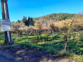 terrain à Pierrefeu-du-Var (83)