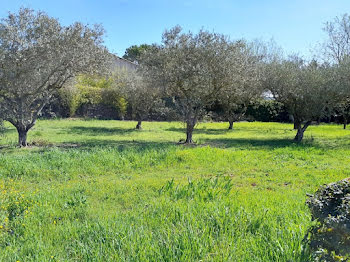 maison neuve à Brignoles (83)