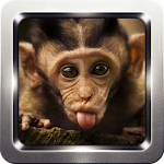 Monkey Sound Collection Apk