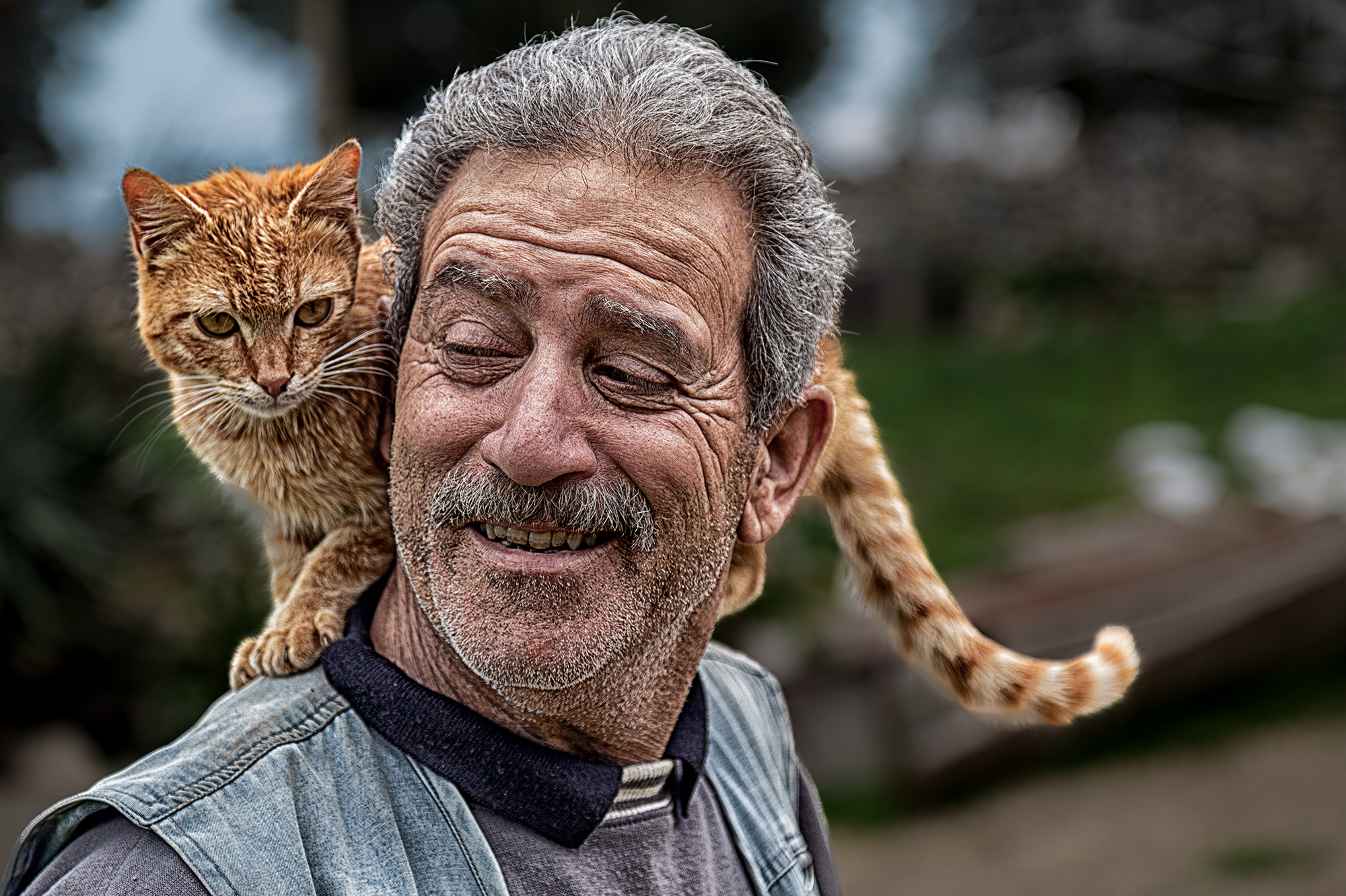 In buona compagnia... di prometeo