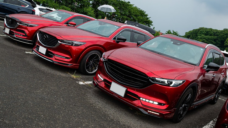 CX-8の100周年特別記念車・ろまんちっく村・道の駅うつのみやろまんちっく村・道の駅・オフ会に関するカスタム事例の投稿画像13枚目