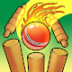 Cricket Bowling