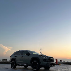 RAV4 MXAA54