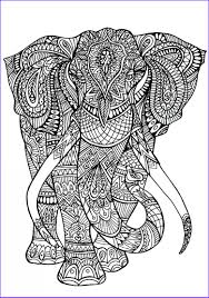 Image result for elephant kaleidoscope coloring page
