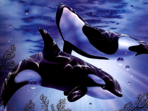 Orca Live Wallpaper