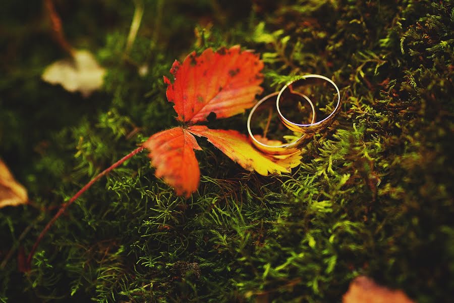 Wedding photographer Yuriy Myasnyankin (uriy). Photo of 18 October 2016