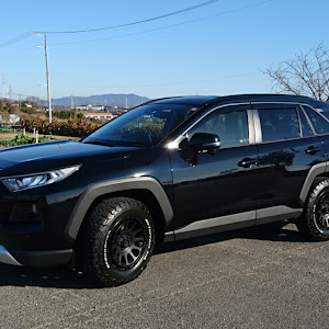 RAV4 MXAA54