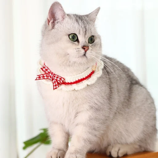 Cute Bow-knot Hand-knitted Saliva Towel Kitten Cat Puppy Adjustable Collar Pet Decorative Dog Cat Collar Pet dog Acces