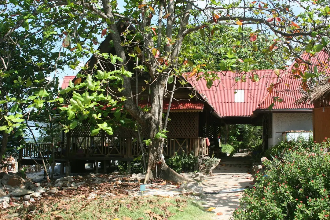 Путеводитель по пляжам  Koh-Tao, для новичков. Фото. Февраль 2012.