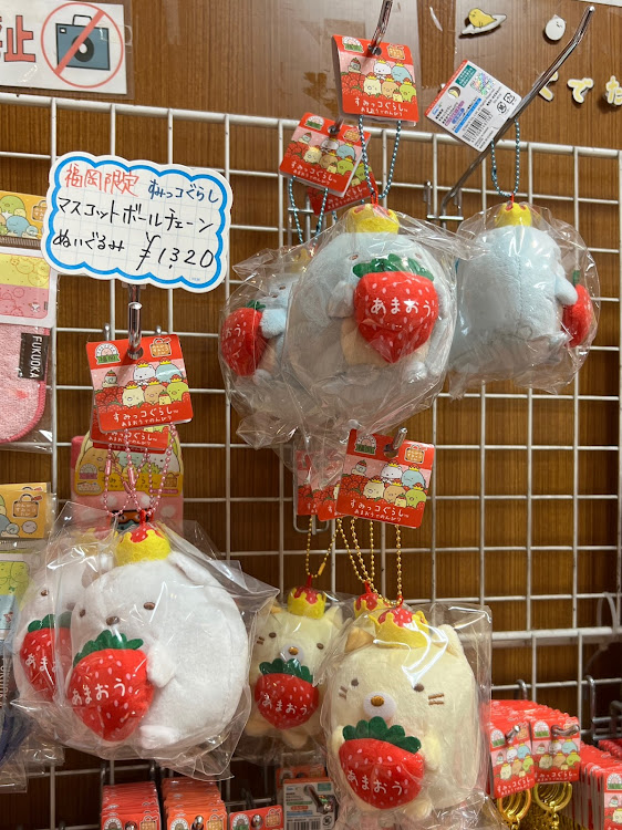 エスティマの河津桜・春一番・2月・いつもイイネ&コメントありがとうございます🙇‍♂️に関するカスタム事例の投稿画像16枚目
