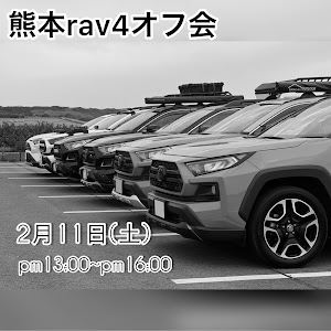 RAV4 MXAA54