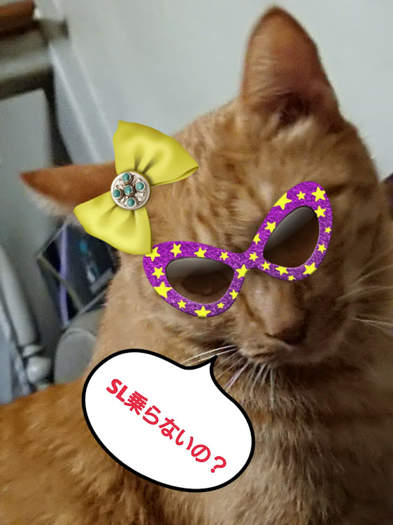 SLのドライブ・コンビニ駐車場にて・🐱達の会話に関するカスタム事例の投稿画像3枚目
