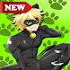 Miraculous cat noir adventure