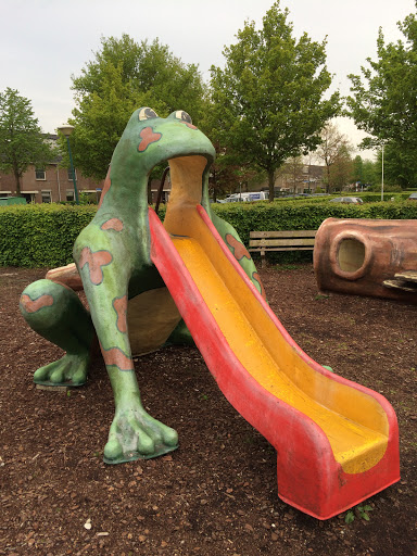 Frog Slide 