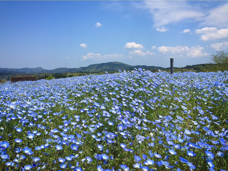 の投稿画像2枚目