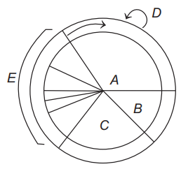 Cell Cycle