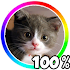 Cat Battery Widget1.9