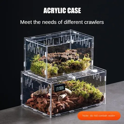 Reptile Habitat Terrarium Breeding Box Acrylic Case Nano Arboreal Tarantula Enclosure Spider Scorpion Bearded Dragon Hab