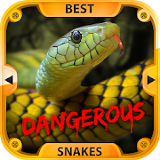 Best Dangerous Snakes  Icon