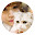 Cat Girl HD Pop Cute New Tabs Theme