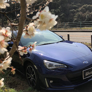 BRZ ZC6