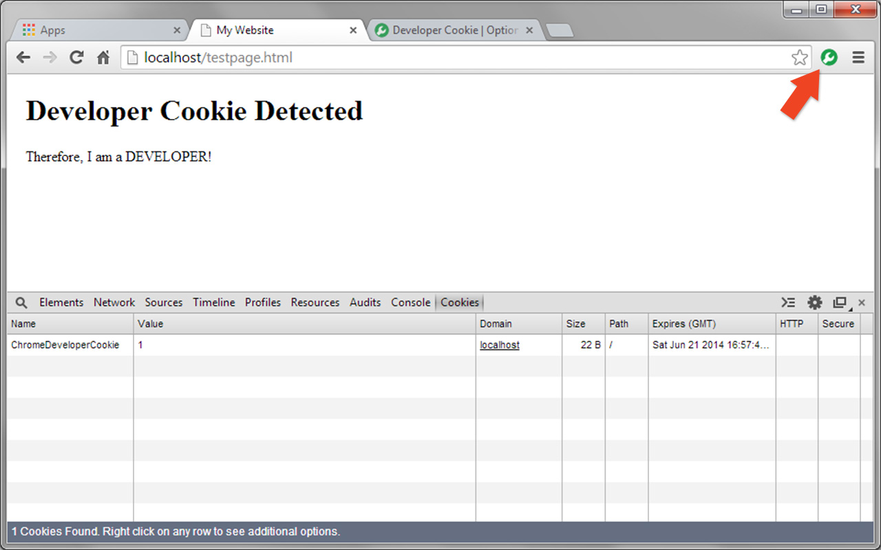 Developer Cookie Preview image 5