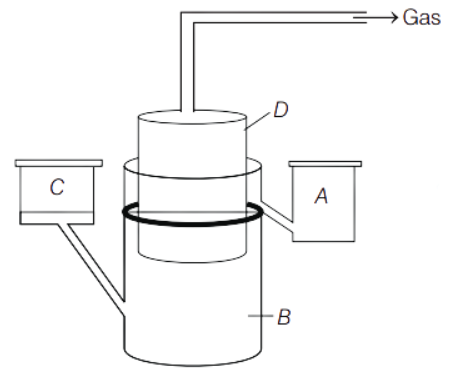 Microbes in production of biogas