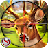 Deer Hunting - Sniper Shooting Games3.5