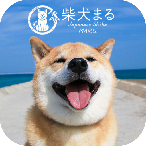 トップ100柴犬 可愛い 壁紙 イラスト スーパーイラストコレクション