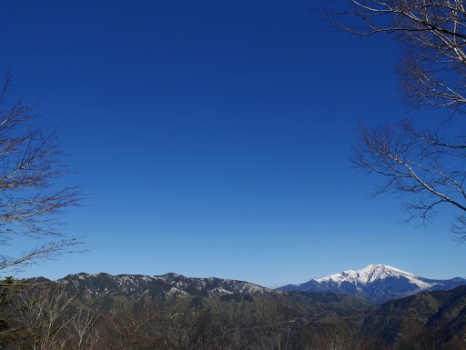 最高の天気