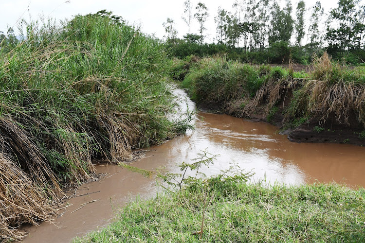 The first point where the two rivers merge after splitting. The second merging point is approximately 500 metres away from this spot