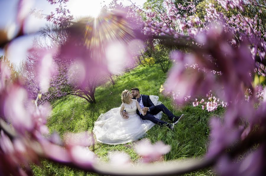 Wedding photographer Teodora Bisog (teodorabisog). Photo of 25 October 2017