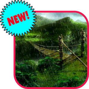 Live Wallpaper Apk 1.0