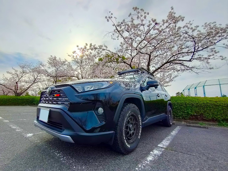 RAV4のサクラと愛車に関するカスタム事例の投稿画像2枚目
