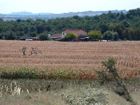 agriturismo a Numana di aeglos