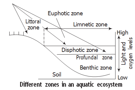 Solution Image