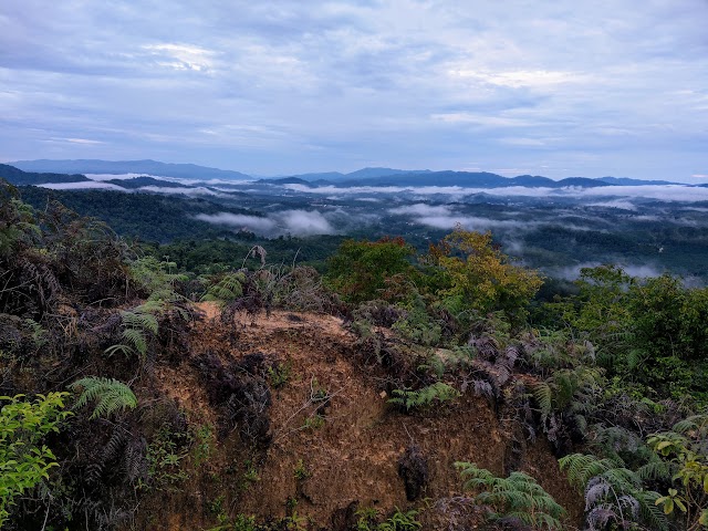 Bukit Senaling Negeri Sembilan