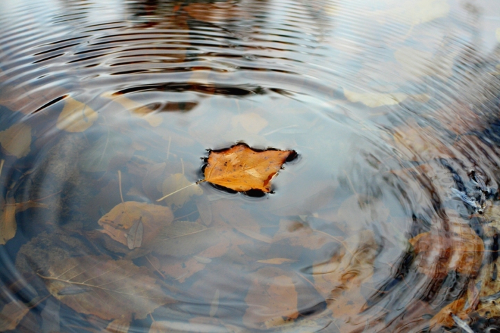 Autunno di alekk