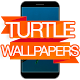 Download Wallpapers of Turtles For PC Windows and Mac