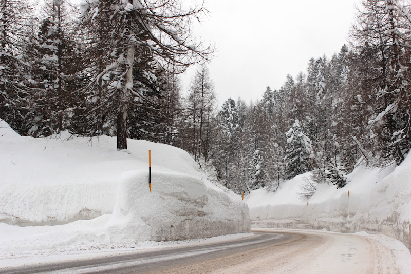 Nel bianco di ucius