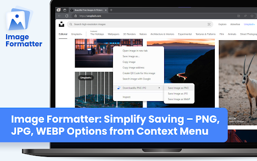 Formatter Save Image As Type