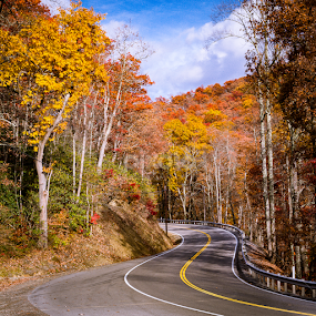 Colorful West Virginia by Michael Sharp - Transportation Roads