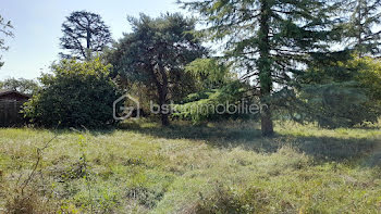 terrain à Saint-Georges-sur-Cher (41)