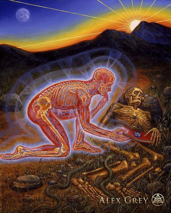 https://cdn.alexgrey.com/wp-content/uploads/2012/06/28203023/Alex_Grey_Nature_of_Mind_panel_2.jpg