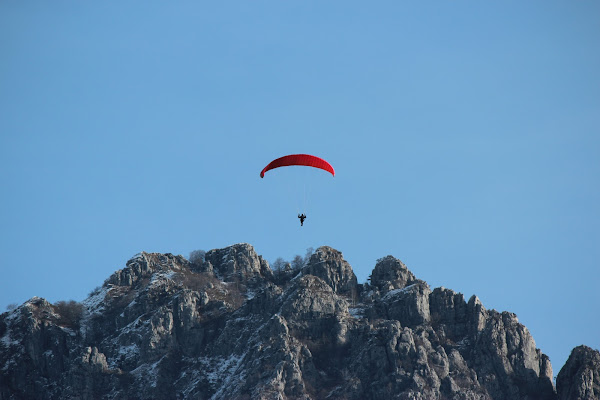 La libertà di volare di Rava