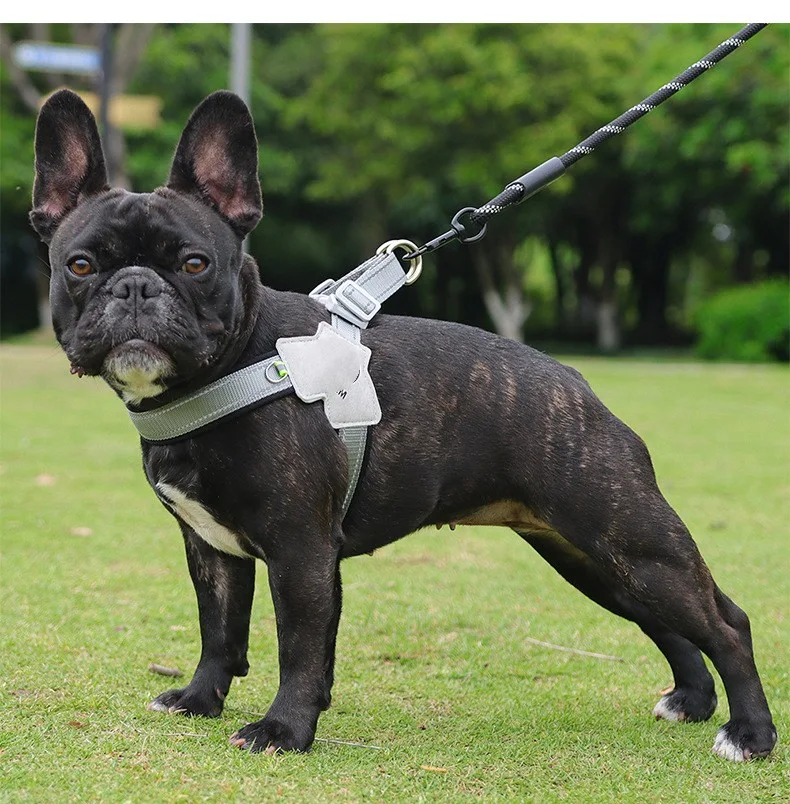 Nouveau Harnais pour Chien Maille Respirante Laisse de Tenue à la Main pour Animaux Confort et Sécurité lors des Promenades Facile à Utiliser