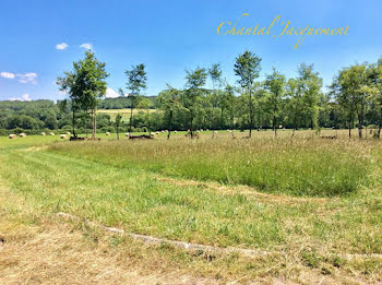 terrain à Saint-Jean-de-Côle (24)