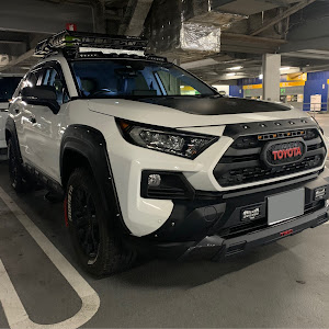 RAV4 MXAA54